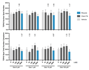 analysis-of-TDP-43-location