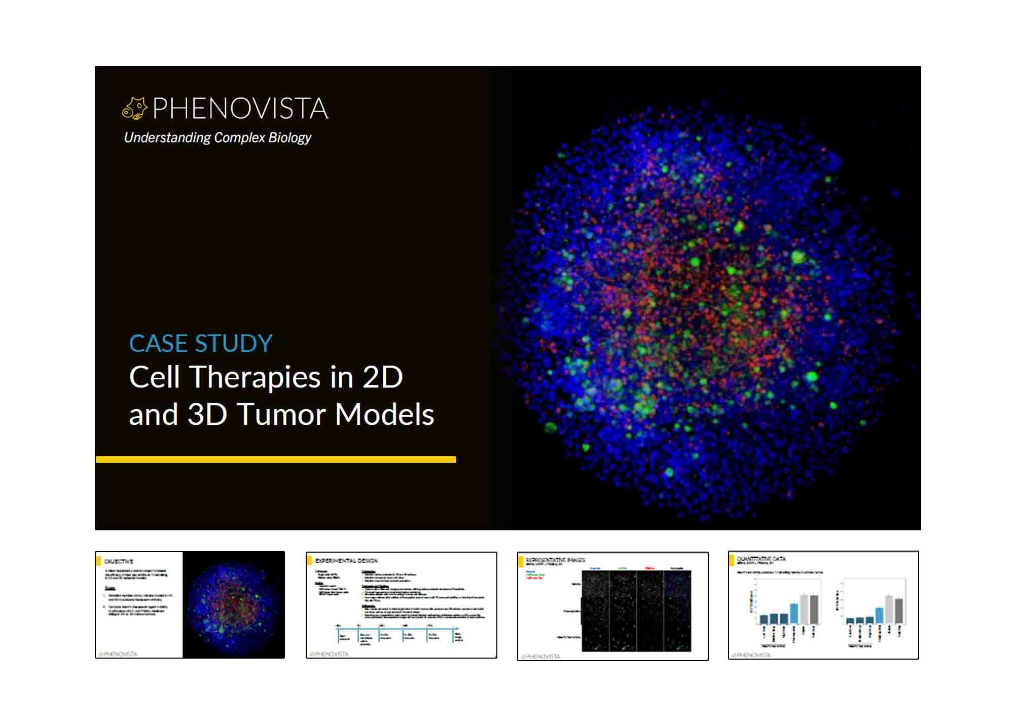 Cell Therapies in 2D and 3D Tumor Models