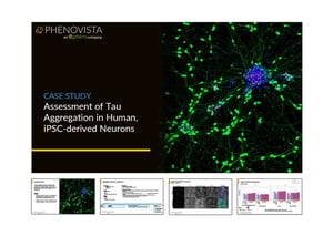 Tau-aggregation-in-iPSC-Neurons-thumbnail