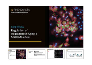 adipogenesis-using-small-molecule-thumbnail